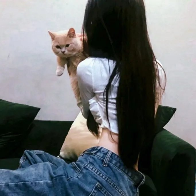 新边城浪子